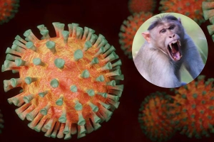 Virus B se desata en China: Alerta mundial ante nuevo caso de letal enfermedad en Hong Kong