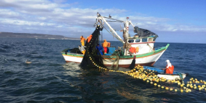 Inversión de S/ 640 millones para fortalecer pesca artesanal, Mypes e industria