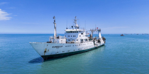 CIENCIA EN EL MAR DE GRAU: IMARPE inicia crucero estratégico para evaluar la salud de la anchoveta